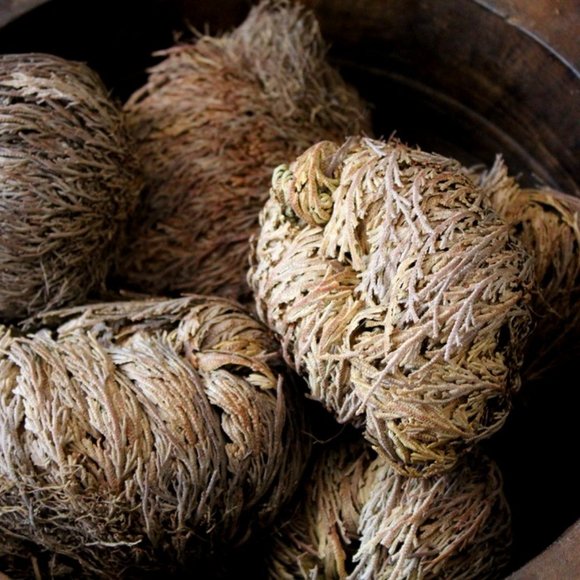 Rose of Jericho, Flower Smudge - Picture 1 of 1